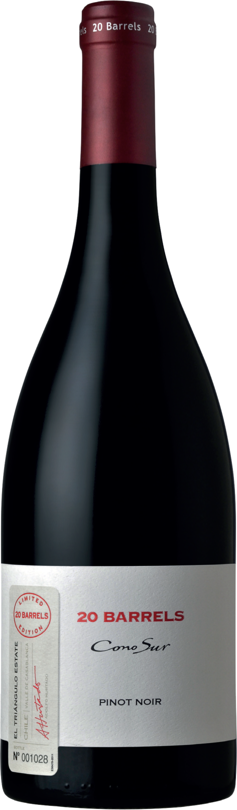 20 Barrels Pinot Noir Valle de Casablanca DO 2014