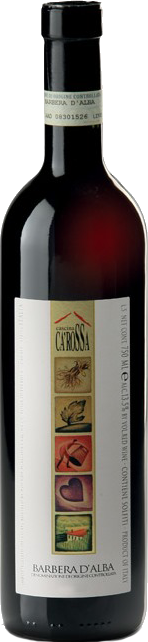 Barbera d'Alba Barbera d'Alba DOC 2020 Barbera d'Alba Barbera d'Alba DOC 2020