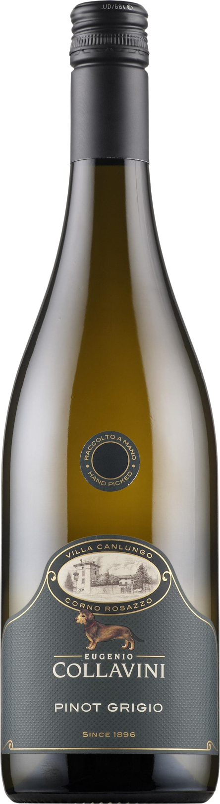 Pinot Grigio Villa Canlungo Collio DOC 2020