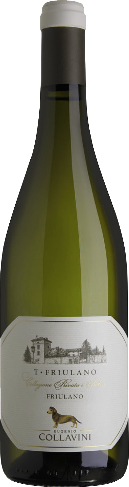 T-Friulano Collio DOC 2019