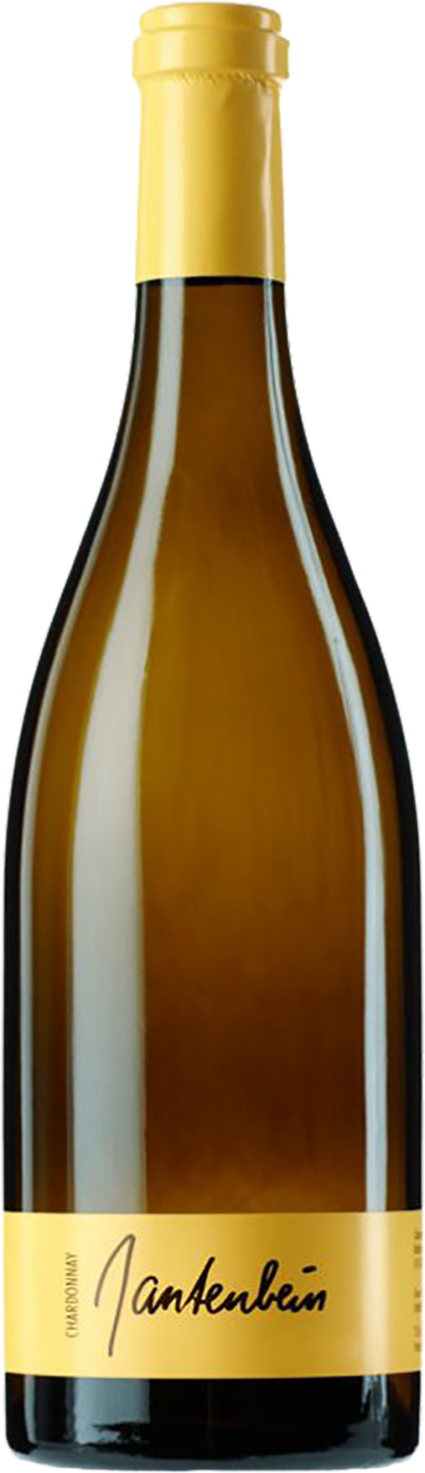 Chardonnay Graubünden AOC 2020