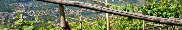 Meran & Burggrafenamt