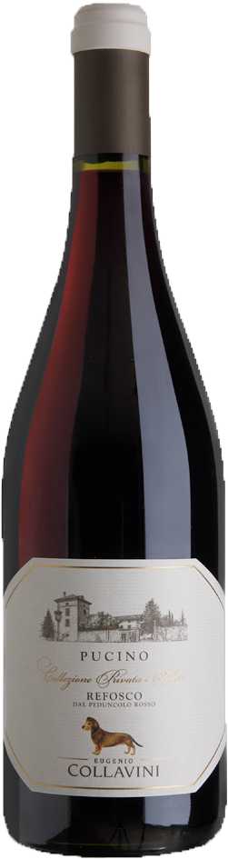 Refosco Pucino Friuli DOC 2019