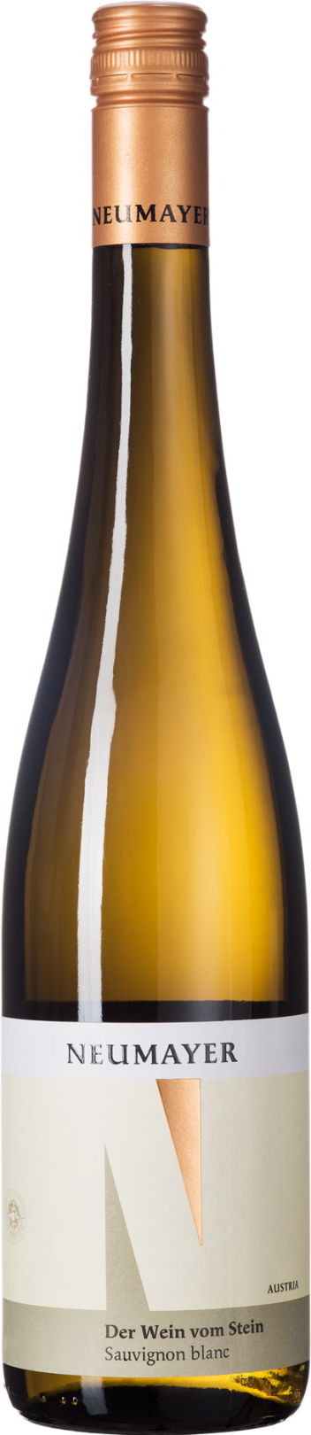 der Wein vom Stein Sauvignon Blanc Niederösterreich QW 2018
