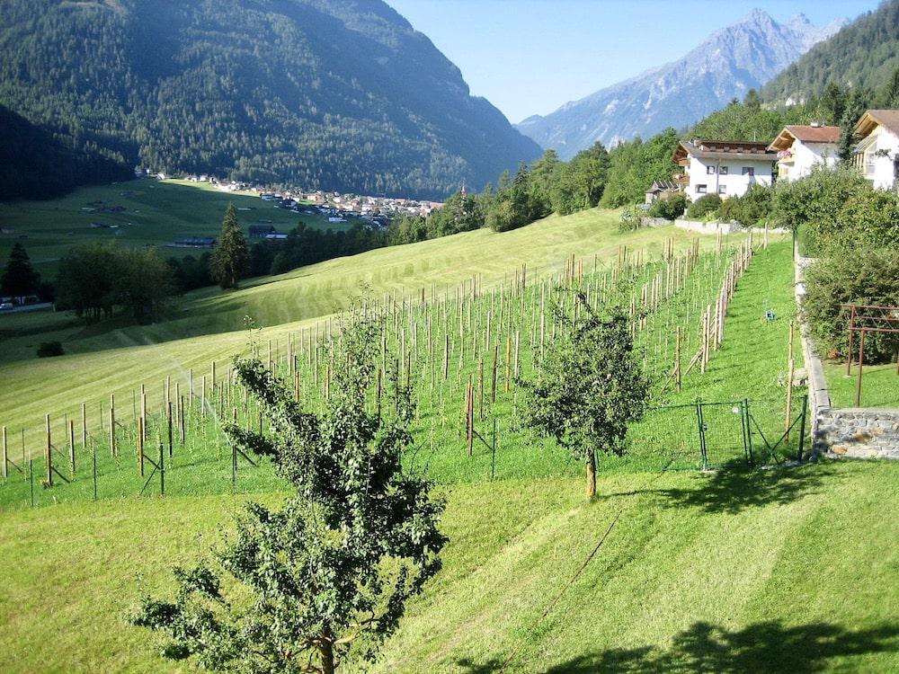 Alpine Weinkultur Vinum Fundus