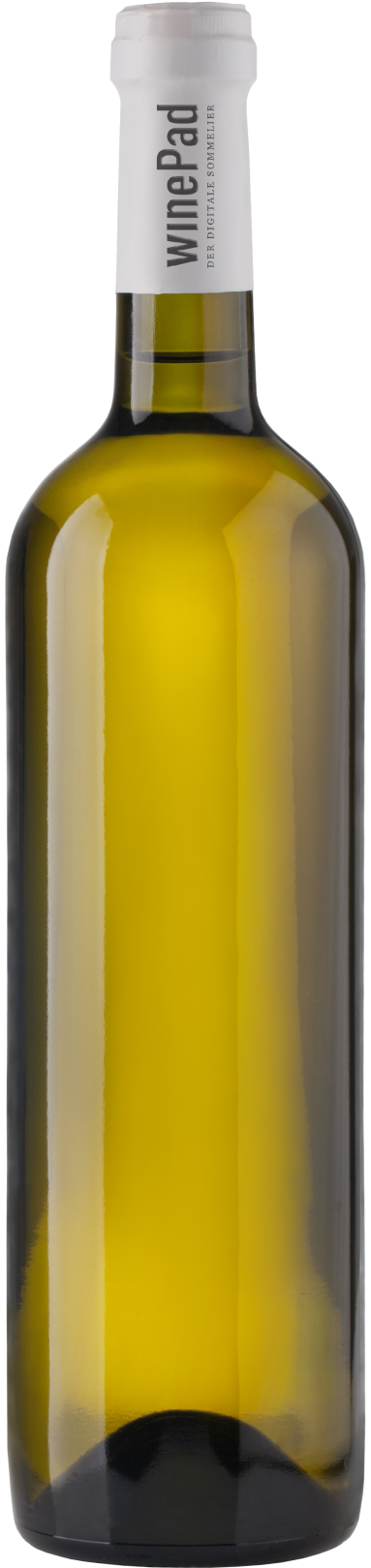 Ried Sonnenberg Sauvignon Blanc Burgenland QW 2021